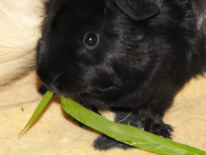 DSCF66571.jpg