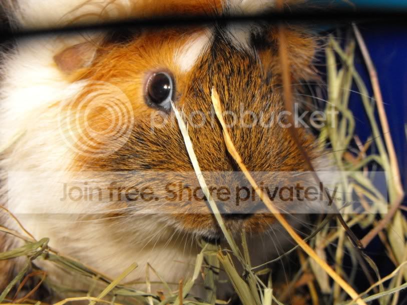 DSCF6869.jpg