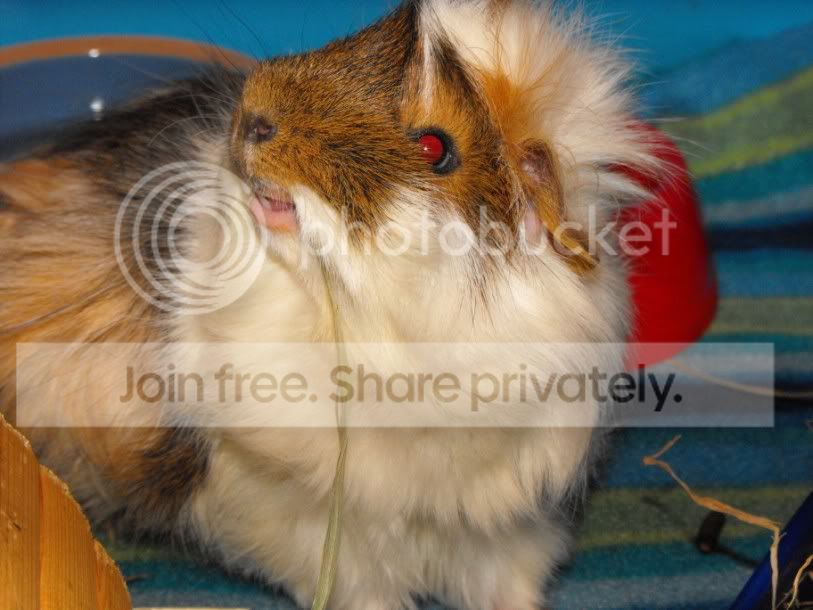 DSCF6875.jpg
