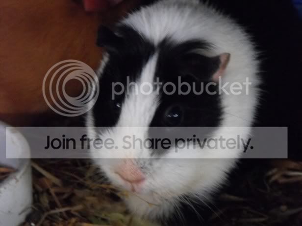 DSCF7076-4.jpg