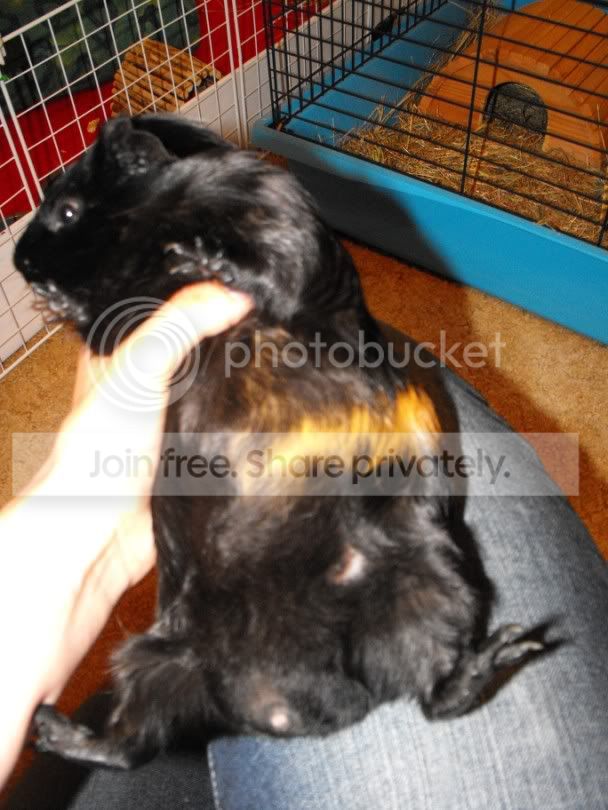 DSCF7149.jpg