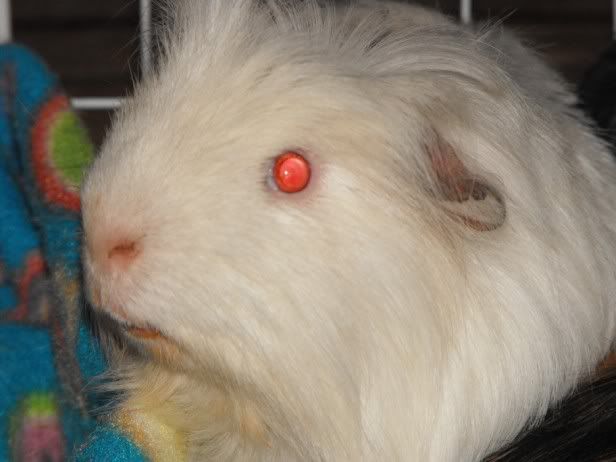 DSCF7227.jpg