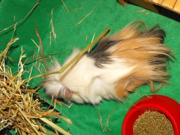 DSCF7263.jpg