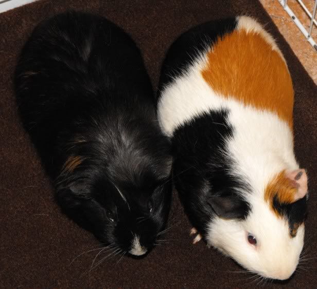 DSCF7276.jpg