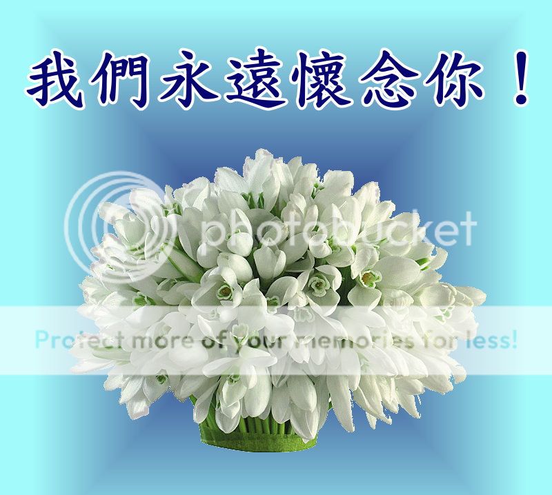 标题: 木奎,我们永远怀念你!